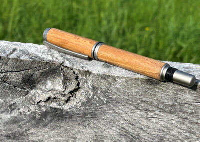 Sentimental Pen, Chestnut from Family Barn